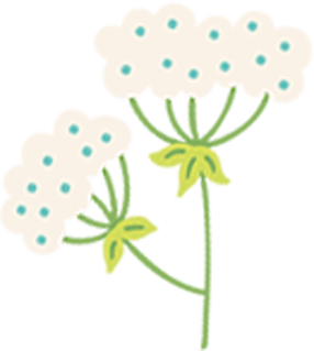 今日立春 | 迎接一場春日的浪漫 今日立春 | 迎接一場春日的浪漫