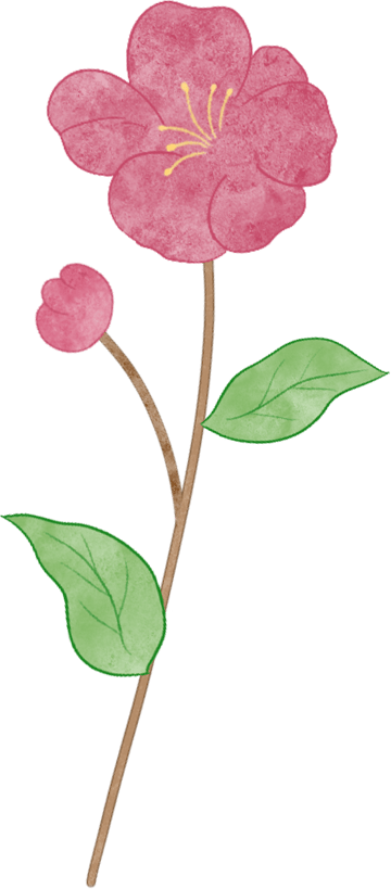 女神節(jié) | 世間美好與你環(huán)環(huán)相扣