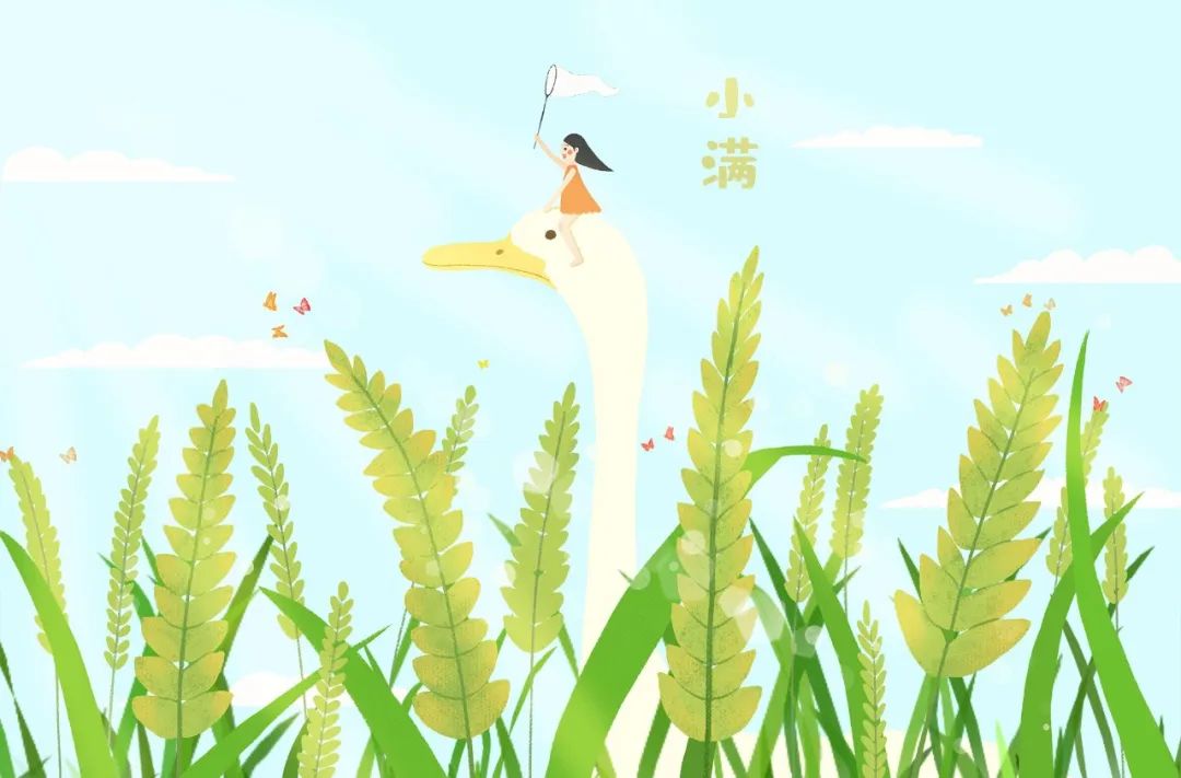 今日小滿 | 當(dāng)520遇上小滿，愿你人生小滿，愛(ài)意滿滿