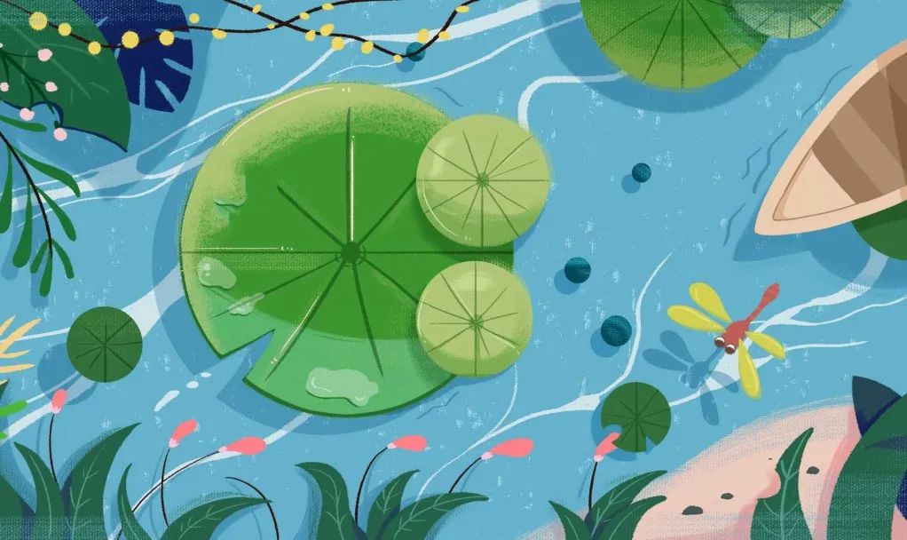 夏至 | 四時(shí)有序，夏至生輝