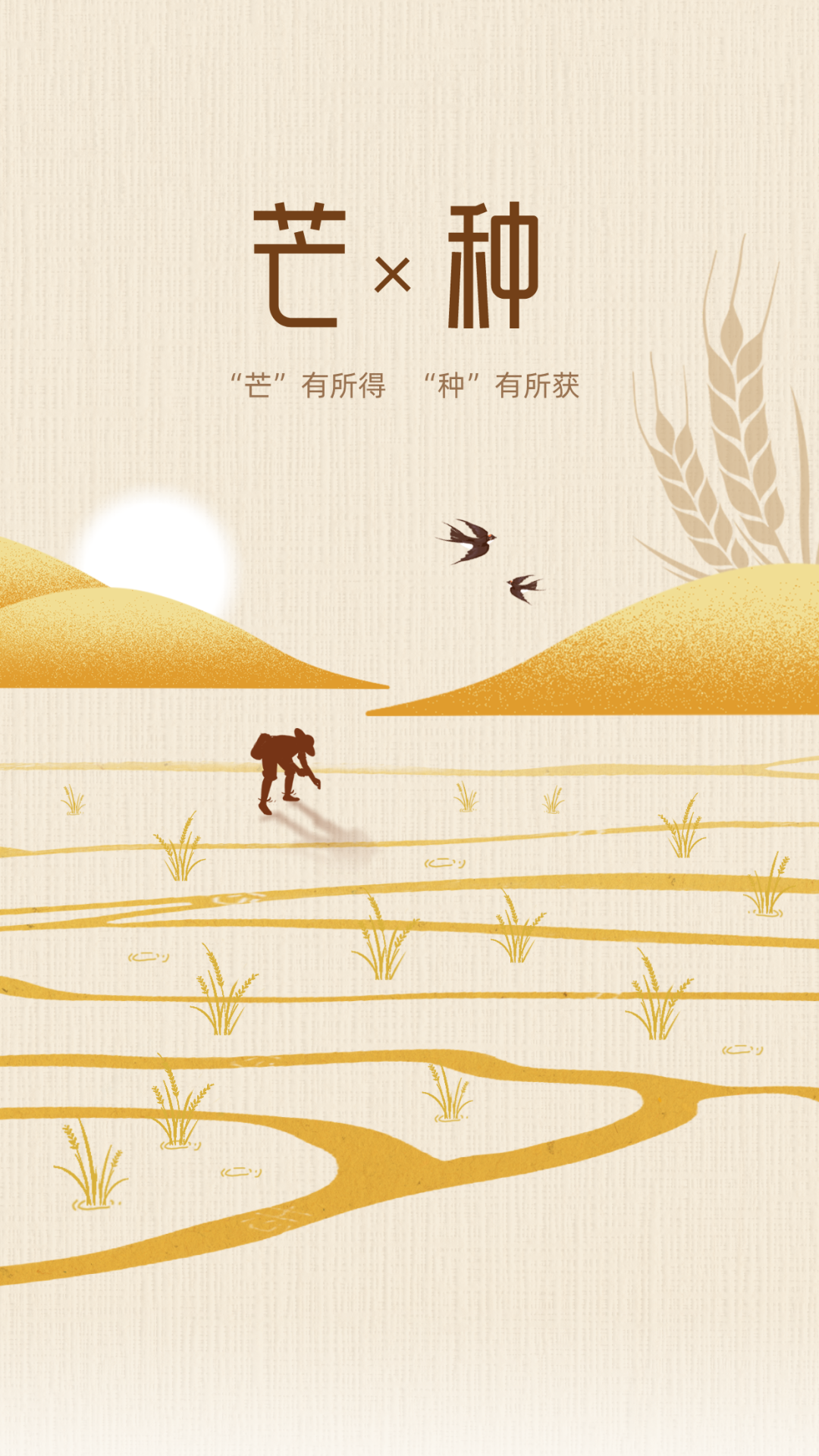 芒種 | “忙”有所得，“種”有所獲