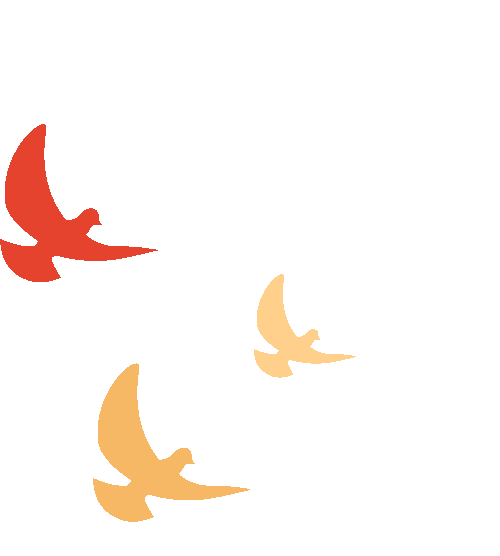 建軍節(jié) | 軍旗飄揚(yáng)，護(hù)國(guó)安寧