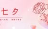 七夕 | 鵲橋相會，情意綿綿