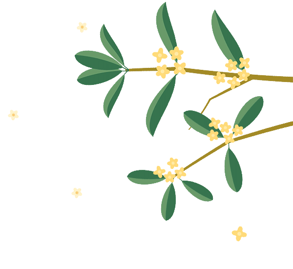 花好月圓·清風裝飾·中秋專享惠，九重福利，驚喜連連！