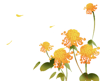 重陽(yáng)節(jié) | 金秋送爽，共度溫馨重陽(yáng)時(shí)光
