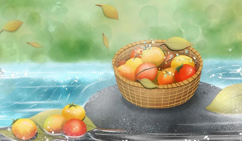 寒露 | 寒露至，秋意濃